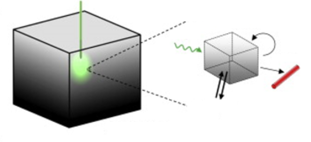 Modeling for Optogenetics
